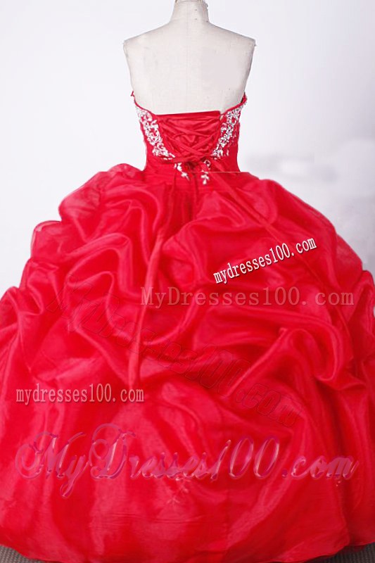 Ruching Pick-ups and Embroidery Ball Gown Sweet 16 Dresses